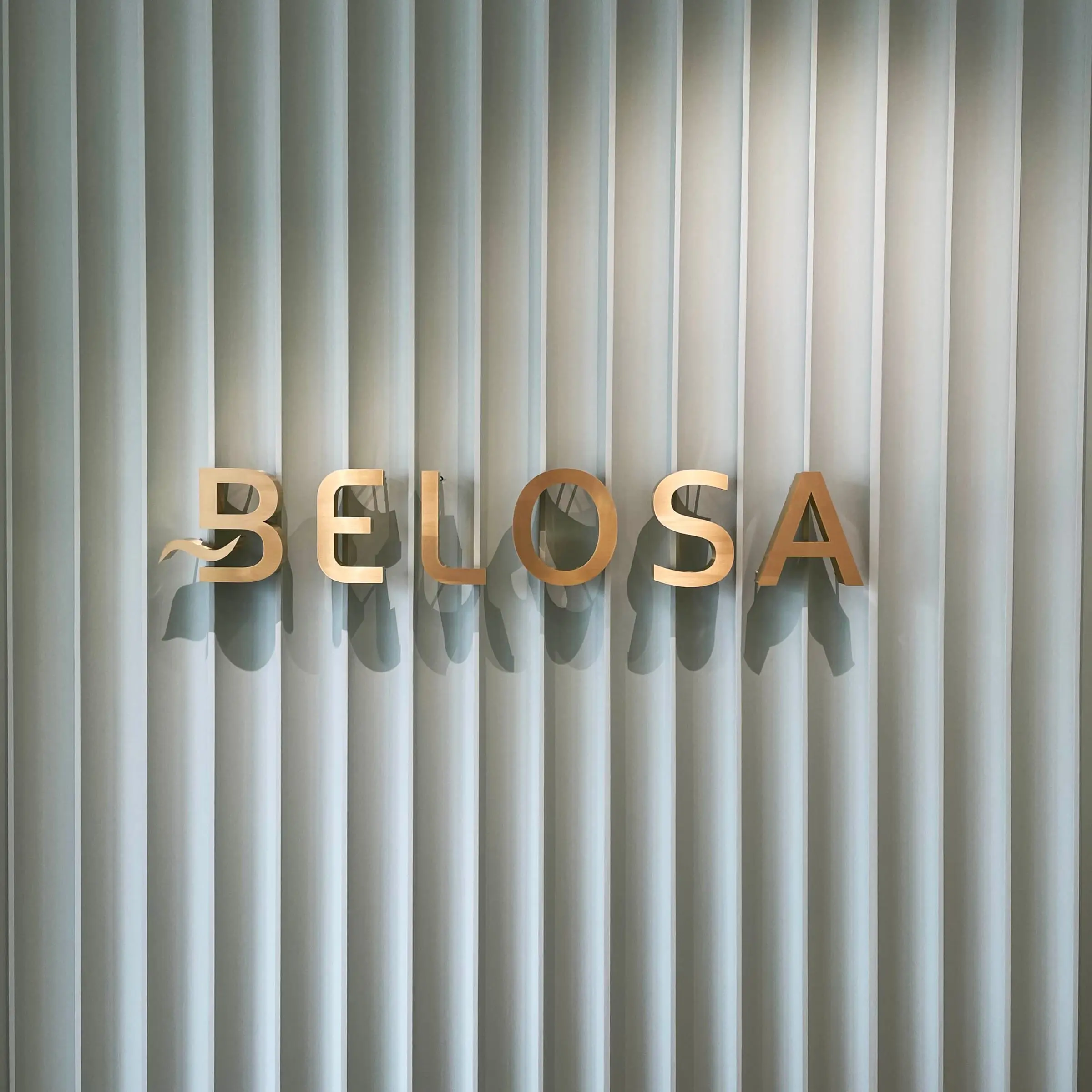 Belosa logotipas iš priekio